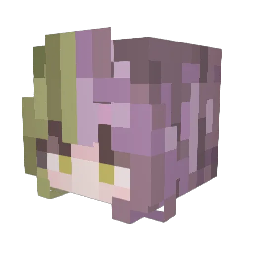 Deliriini Minecraft avatar head, 3D render