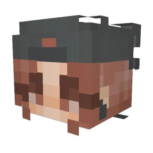 DeliriouslySane Minecraft avatar head, 3D render