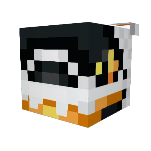 DeliveryBoi2 Minecraft avatar head, 3D render