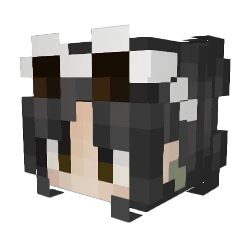 Delixii Minecraft avatar head, 3D render