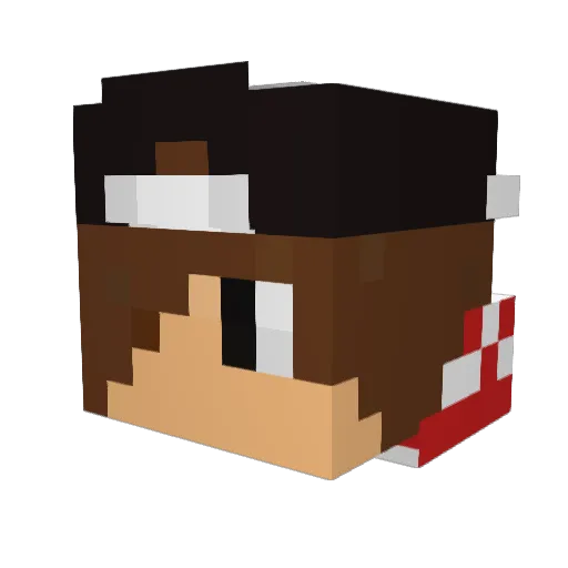 DellPickle Minecraft avatar head, 3D render