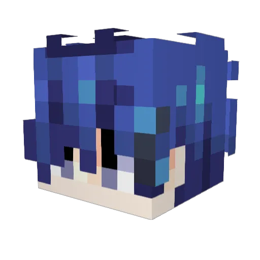 Dell_1234 Minecraft avatar head, 3D render