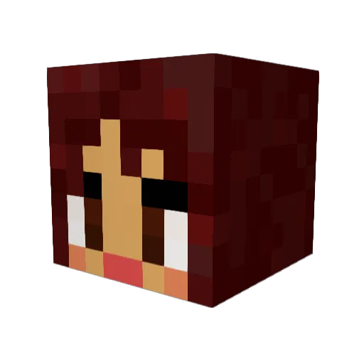 Dellarica Minecraft avatar head, 3D render