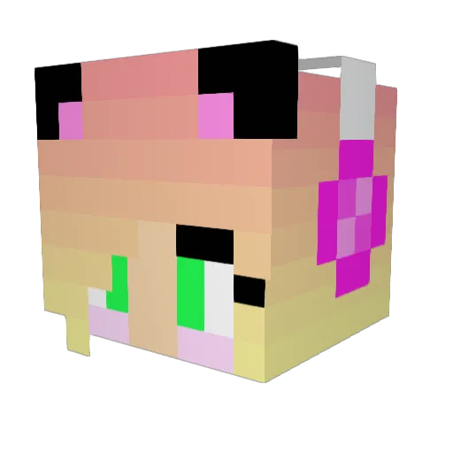 Dellcore13 Minecraft avatar head, 3D render