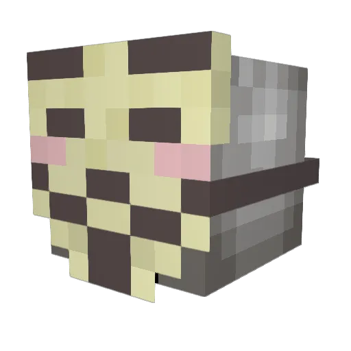 Dellerock Minecraft avatar head, 3D render