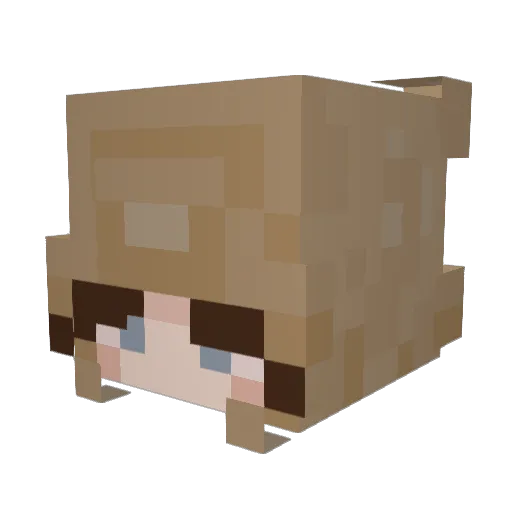 Delliecat805 Minecraft avatar head, 3D render