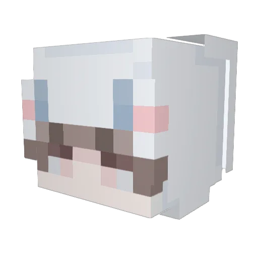 DellunaS2 Minecraft avatar head, 3D render