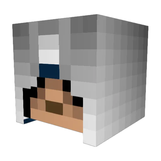 Delmaa_22 Minecraft avatar head, 3D render
