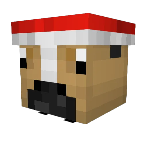 Delosity Minecraft avatar head, 3D render
