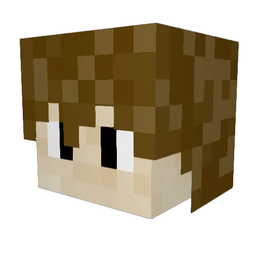 Delphidude Minecraft avatar head, 3D render