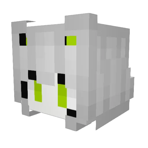 Delphips Minecraft avatar head, 3D render