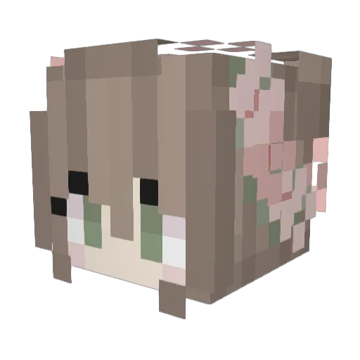 Delphium_ Minecraft avatar head, 3D render
