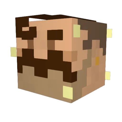 Delsato Minecraft avatar head, 3D render