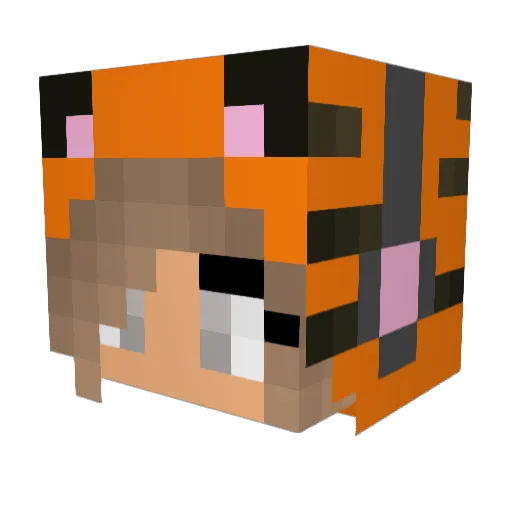 Delshoo Minecraft avatar head, 3D render