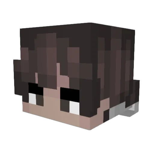 Delsulfa Minecraft avatar head, 3D render