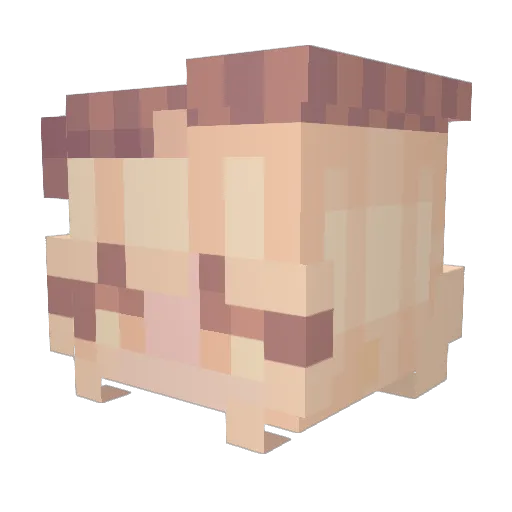 Delta4254547 Minecraft avatar head, 3D render