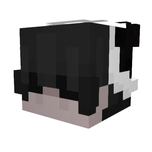Delta8717 Minecraft avatar head, 3D render