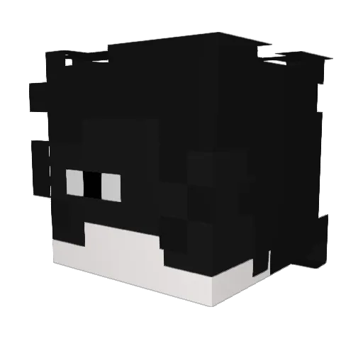 Delta9660 Minecraft avatar head, 3D render