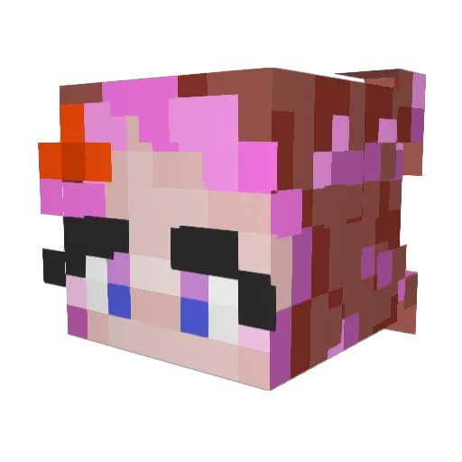 DeltaMal Minecraft avatar head, 3D render