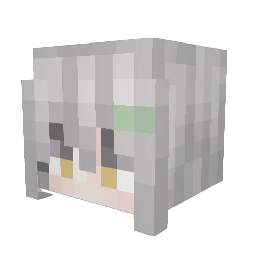 DeltaYDF Minecraft avatar head, 3D render