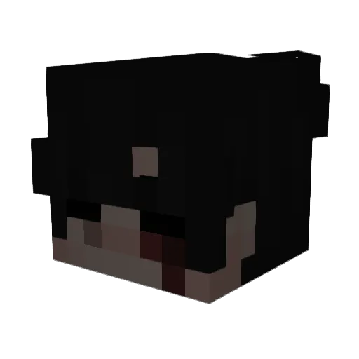 Delta_9678 Minecraft avatar head, 3D render