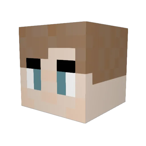 Delta_Airlanes Minecraft avatar head, 3D render