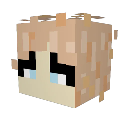Delta_Airlines17 Minecraft avatar head, 3D render