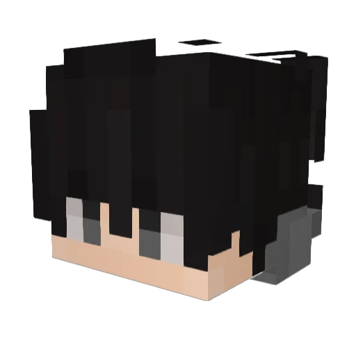 Delter1 Minecraft avatar head, 3D render