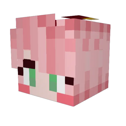 Deltzio Minecraft avatar head, 3D render
