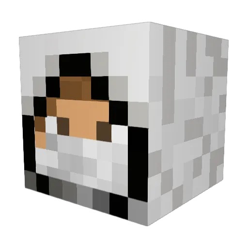 Delu200518 Minecraft avatar head, 3D render