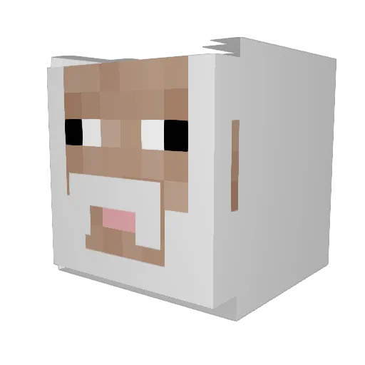 Delumion Minecraft avatar head, 3D render