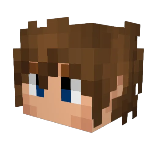 DelusionSketch Minecraft avatar head, 3D render