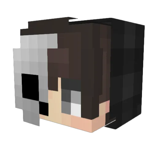 Delyd Minecraft avatar head, 3D render