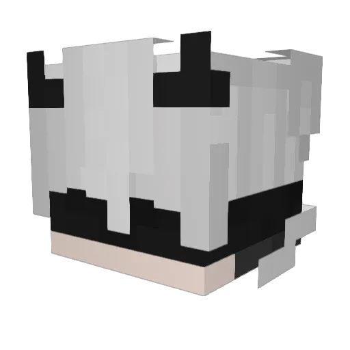 DelyriumXD Minecraft avatar head, 3D render