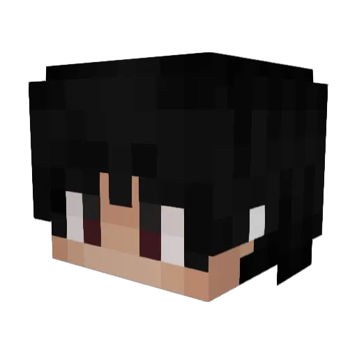 Dem55_ Minecraft avatar head, 3D render
