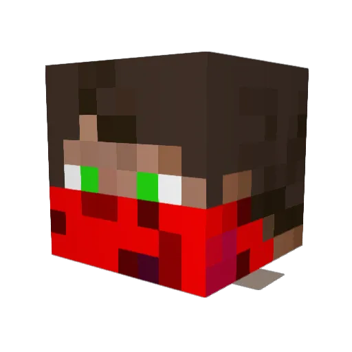 Dema24X7 Minecraft avatar head, 3D render