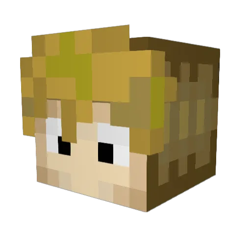 Demar08 Minecraft avatar head, 3D render