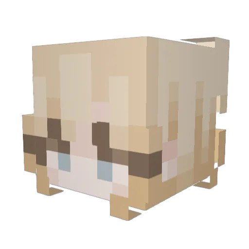 Dementieva Minecraft avatar head, 3D render