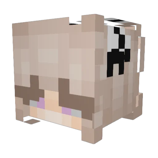 DementorHUN Minecraft avatar head, 3D render