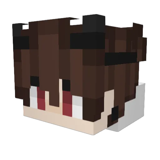 Demetr1ous Minecraft avatar head, 3D render