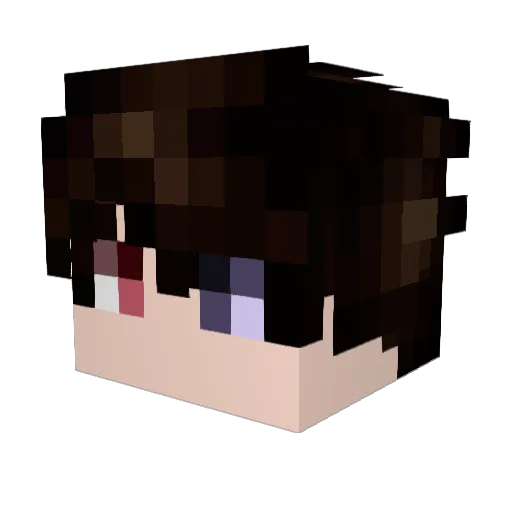 DemetriusMC Minecraft avatar head, 3D render