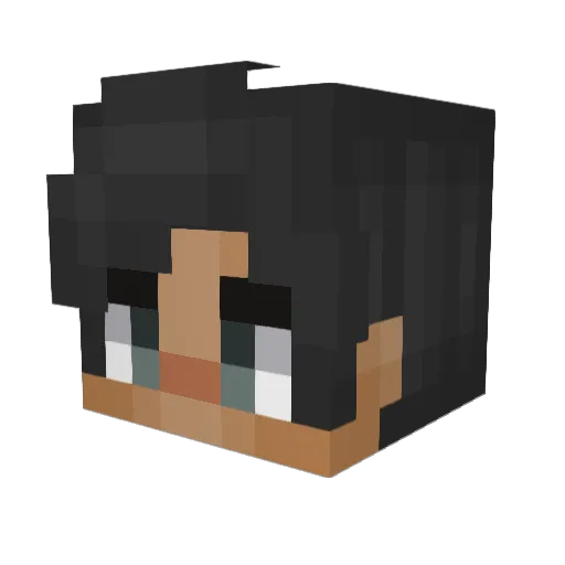 Demeyz Minecraft avatar head, 3D render