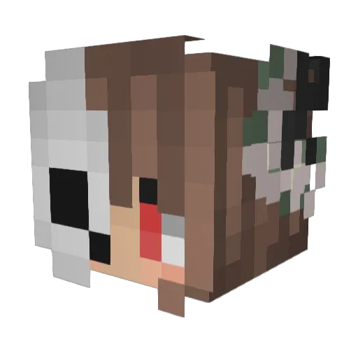 Demi_Wallflowers Minecraft avatar head, 3D render