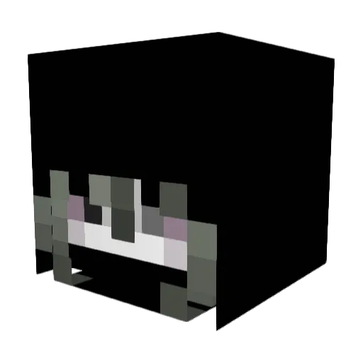 Demiam Minecraft avatar head, 3D render