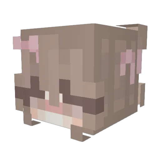 Demipeemi Minecraft avatar head, 3D render