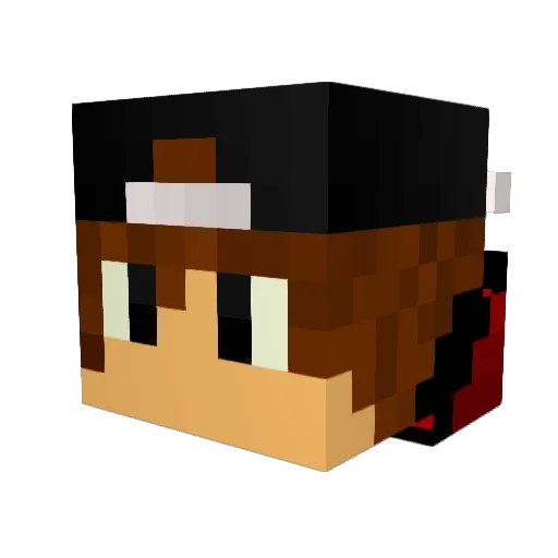 Demitson_ Minecraft avatar head, 3D render