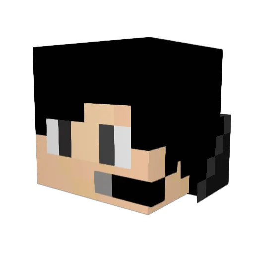 Demo_craft Minecraft avatar head, 3D render