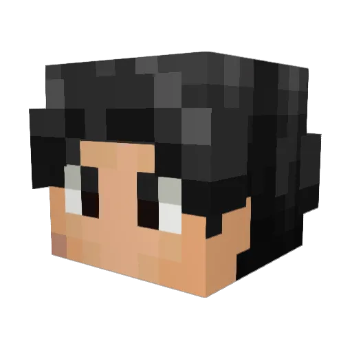 Demokratiyan Minecraft avatar head, 3D render