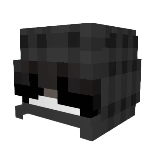 DemonHunter0211 Minecraft avatar head, 3D render