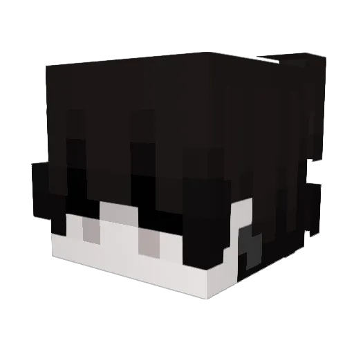 DemonKing3491 Minecraft avatar head, 3D render
